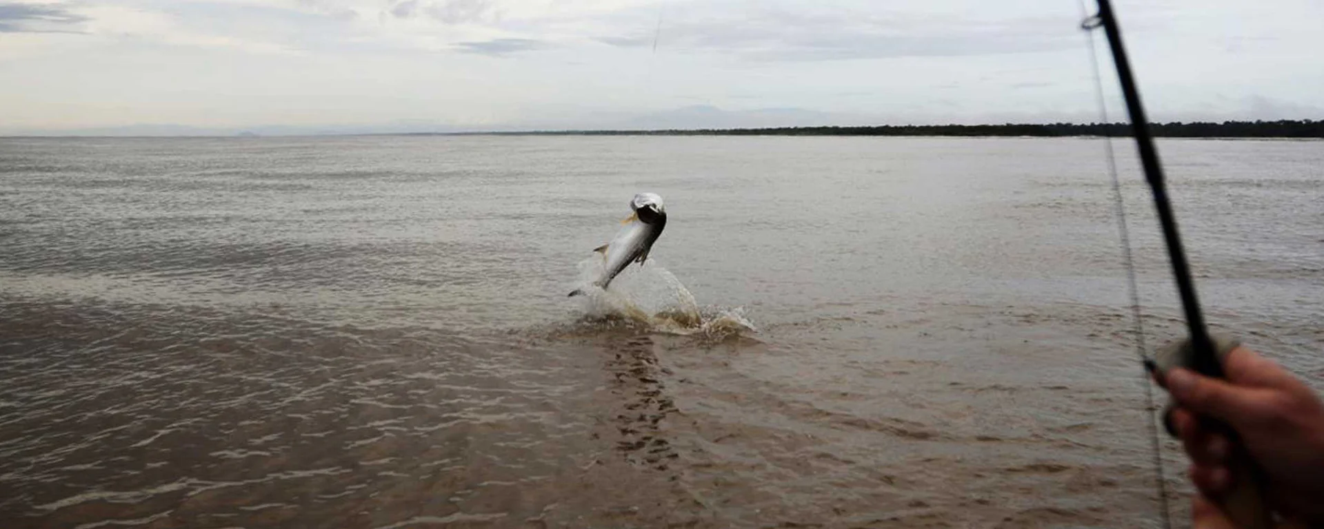 Master the Art of Fly Fishing